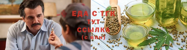 спайс Арсеньев