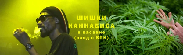 стаф Аркадак