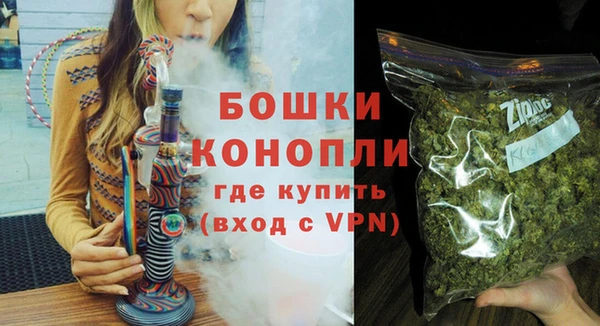 стаф Аркадак