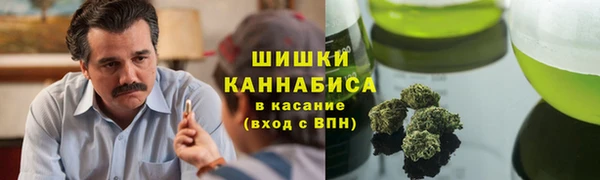 спайс Арсеньев
