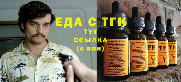 стаф Аркадак
