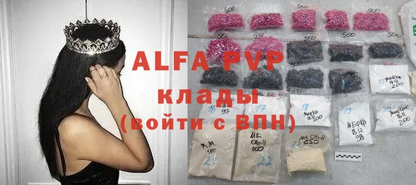стаф Аркадак