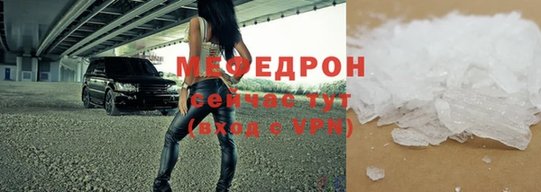 стаф Аркадак