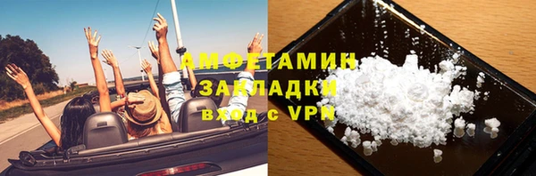 стаф Аркадак
