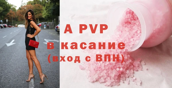 стаф Аркадак