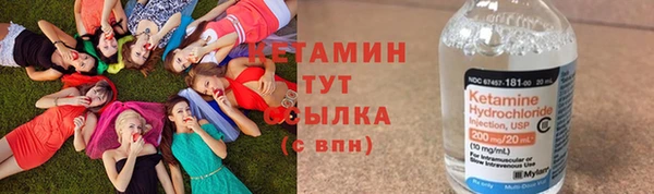 стаф Аркадак